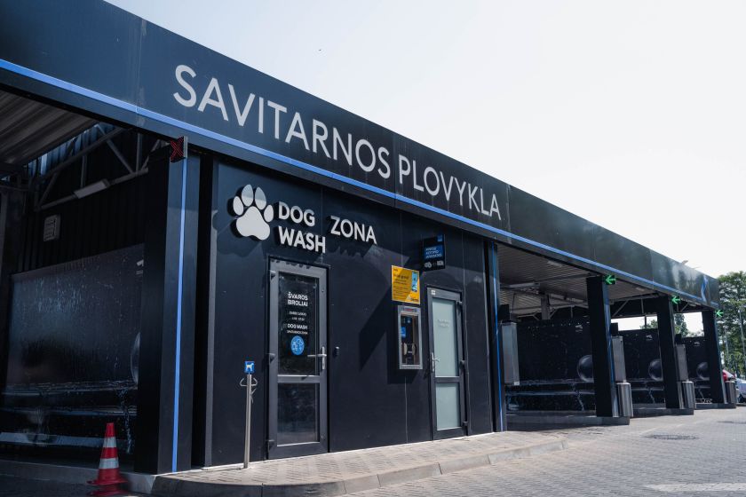 Veterinaras įspėja: šunis maudyti vasarą reikia dažniau nei kitais metų laikais