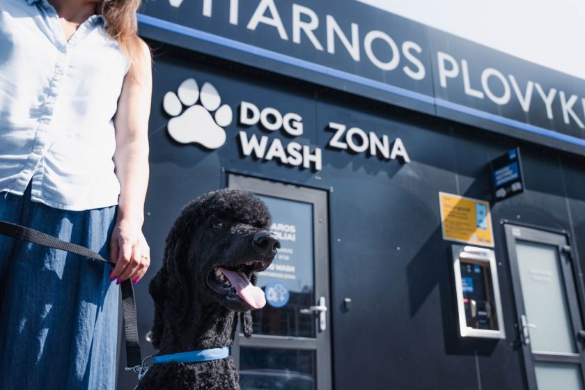 Veterinaras įspėja: šunis maudyti vasarą reikia dažniau nei kitais metų laikais