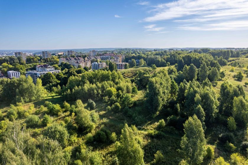 
Naujininkai Vilniuje išgyvena atgimimą: vilioja investuotojus ir naujakurius                