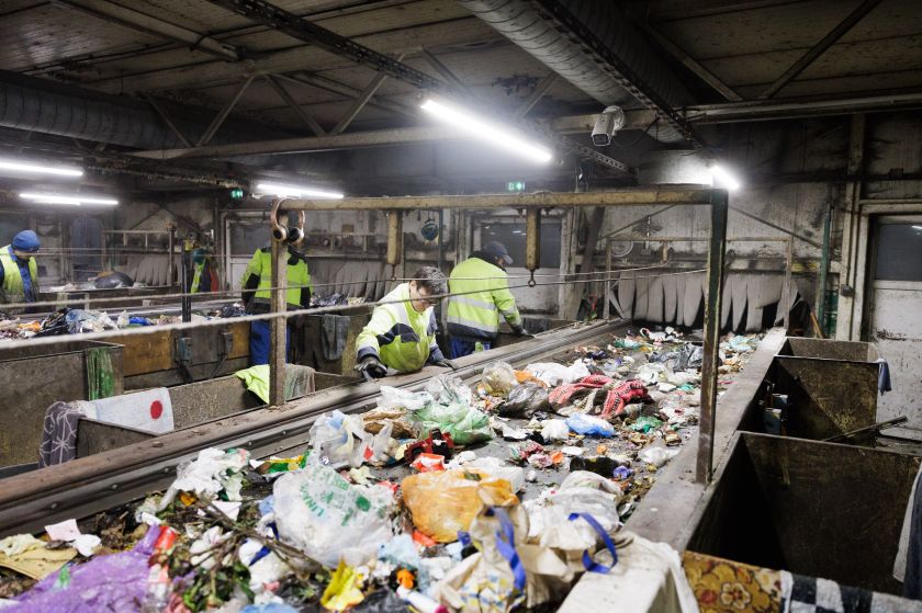 „Energesman“ pradėjo bandymus su musių lervomis – jau maitina jas vilniečių maisto atliekomis