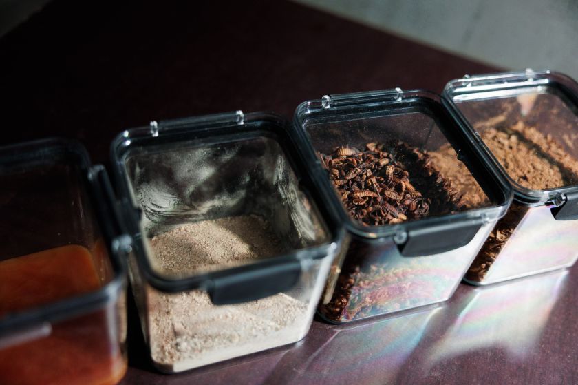 Vilniečių virtuvės likučiais jau džiaugiasi musių lervos – „Energesman“ parodė vieną pirmųjų sprendimų pasaulyje