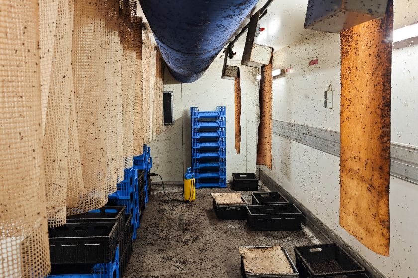 Vilniečių virtuvės likučiais jau džiaugiasi musių lervos – „Energesman“ parodė vieną pirmųjų sprendimų pasaulyje