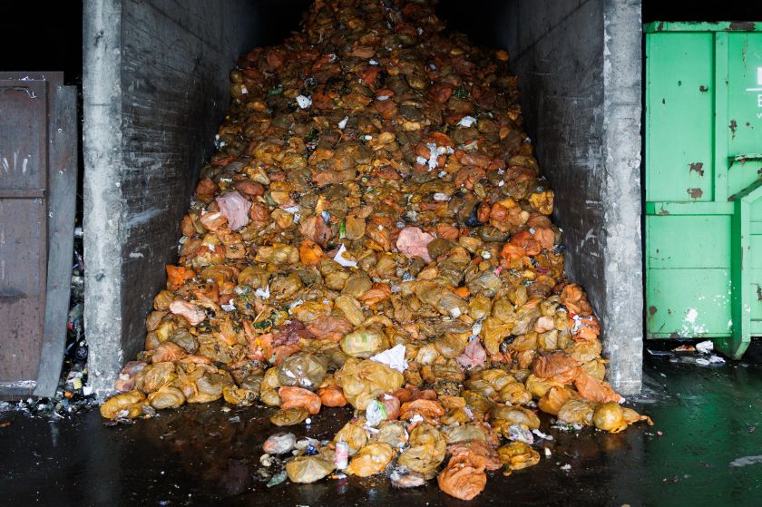 Vilniečių virtuvės likučiais jau džiaugiasi musių lervos – „Energesman“ parodė vieną pirmųjų sprendimų pasaulyje