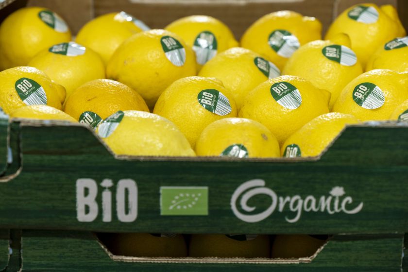 Nuo privačių prekės ženklų iki išsamių produktų tyrimų: kaip „Lidl“ užtikrina aukštą kokybę už žemą kainą?