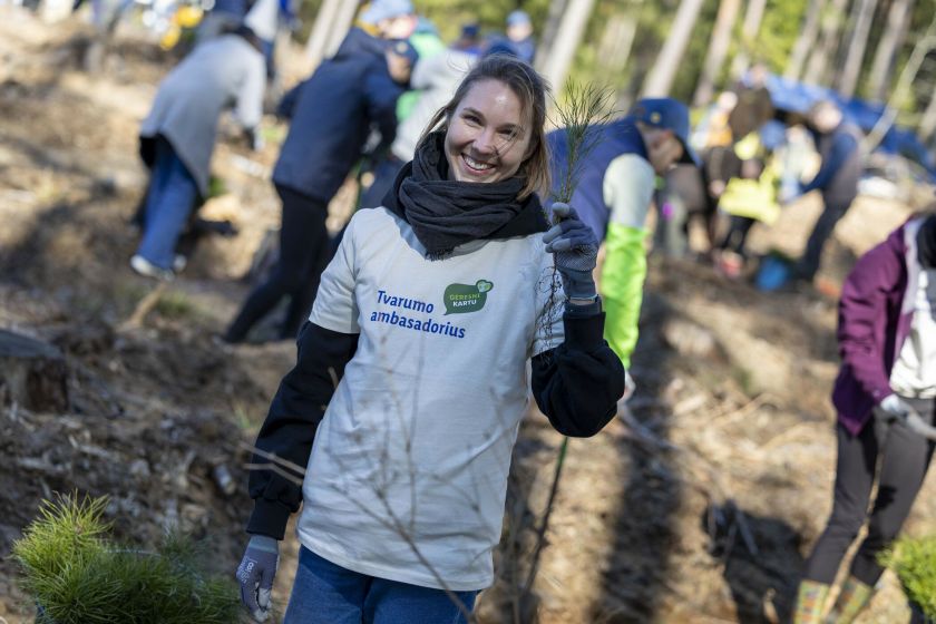 „Lidl Lietuva“ komandos indėlis į Nacionalinį miškasodį: pasodino 15 tūkst. medžių