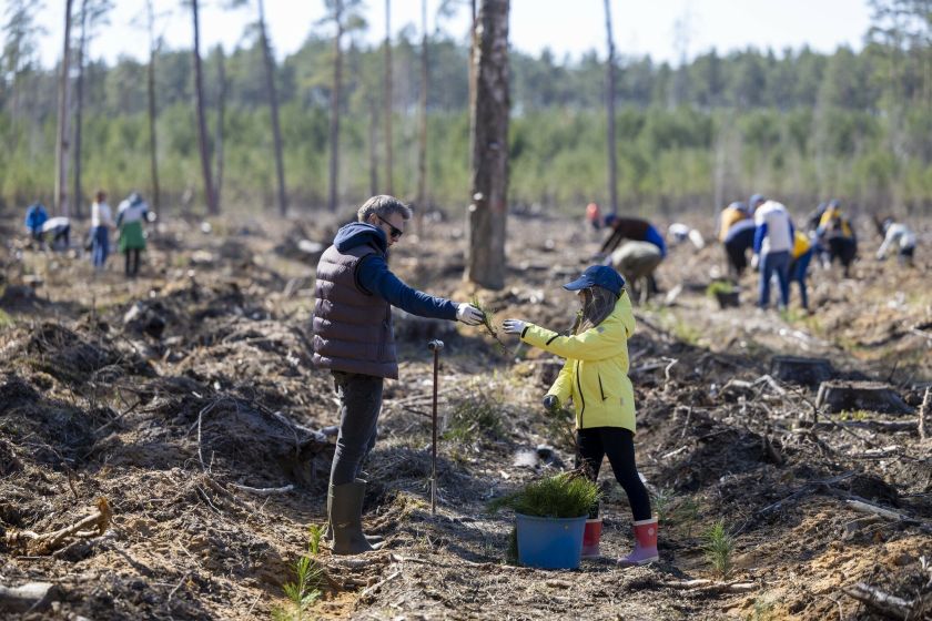 „Lidl Lietuva“ komandos indėlis į Nacionalinį miškasodį: pasodino 15 tūkst. medžių