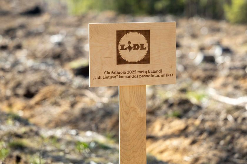 „Lidl Lietuva“ komandos indėlis į Nacionalinį miškasodį: pasodino 15 tūkst. medžių