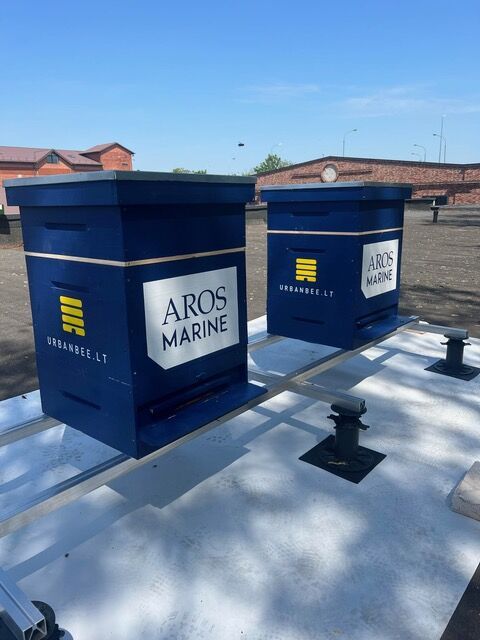 Siekė tvarumo, o gavo netikėtos naudos - Klaipėdos miesto bitės tapo verslo kultūros dalimi