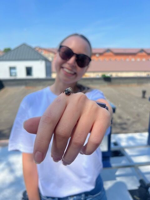 Siekė tvarumo, o gavo netikėtos naudos - Klaipėdos miesto bitės tapo verslo kultūros dalimi