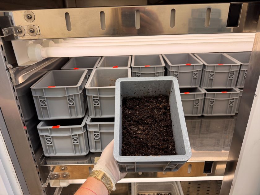 Vilniečių virtuvės atliekomis augintos musių lervos laikinai įsikūrė Gamtos tyrimų centre – domisi tarptautinė žiniasklaida