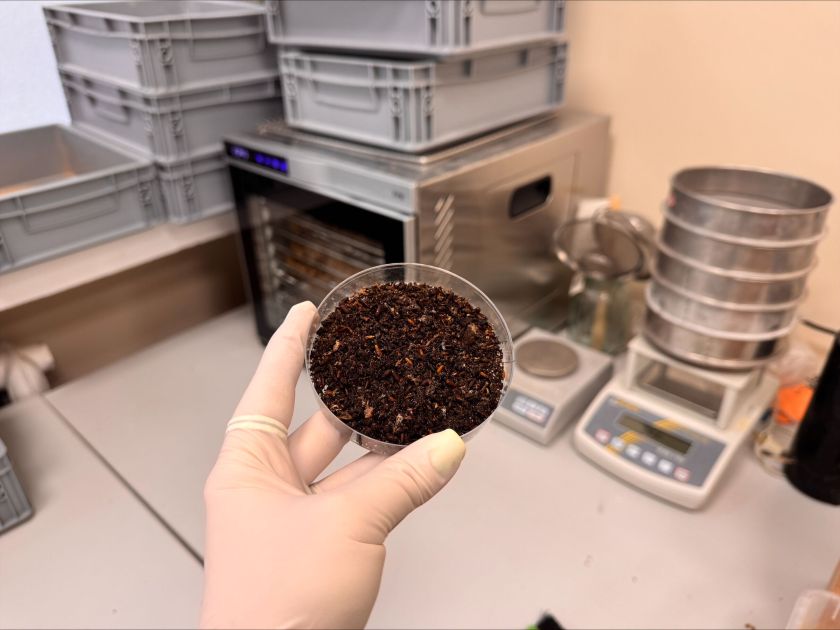 Vilniečių virtuvės atliekoms augintos musių lervos laikinai įsikūrė Gamtos tyrimų centre – domisi tarptautinė žiniasklaida