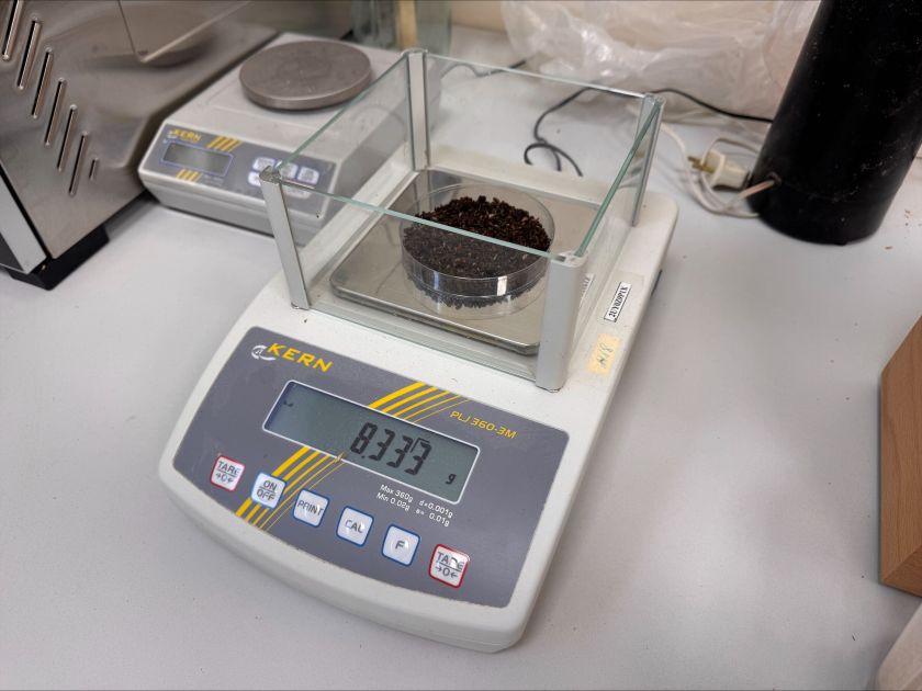 Vilniečių virtuvės atliekoms augintos musių lervos laikinai įsikūrė Gamtos tyrimų centre – domisi tarptautinė žiniasklaida