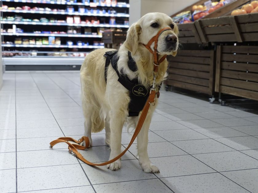 „Maxima“ primena lankytojų elgesio taisykles: prioritetas – saugumas ir patogumas visiems pirkėjams