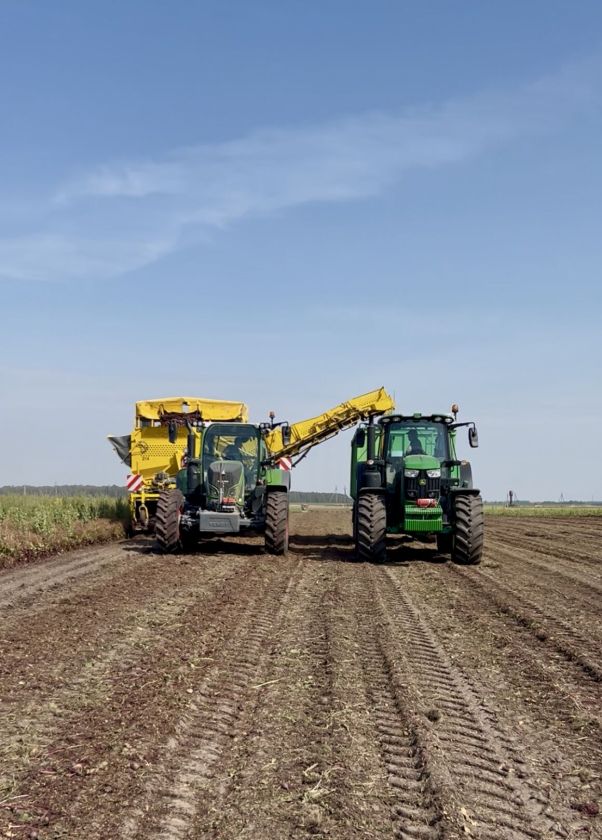 Burokėlių derlius UAB „Krekenava“ laukuose džiugina: planuojama prikasti apie 3000 tonų
